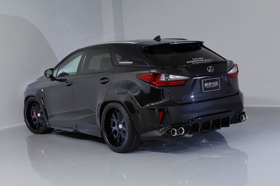 Lexus RX AIMGAIN VIP EXE front over fenders - image 15