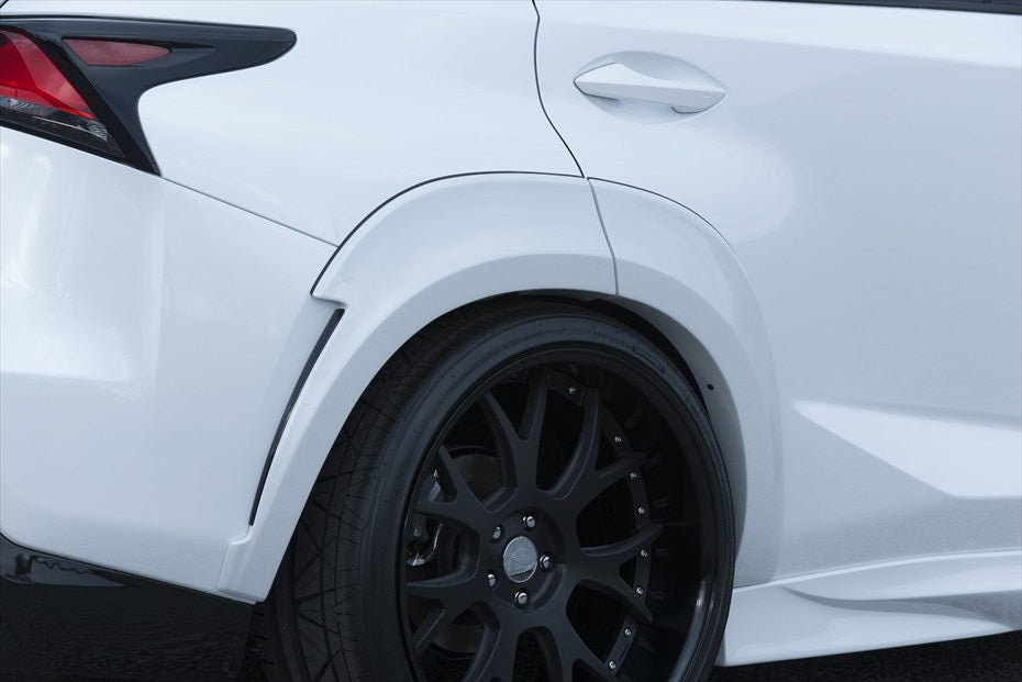 Lexus NX AIMGAIN VIP EXE exhaust finisher - image 15
