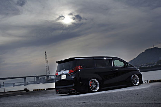 Toyota Alphard AIMGAIN Pure VIP rear bumper - image 2