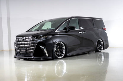 Toyota Alphard AIMGAIN VIP EXE agea406 - image 10