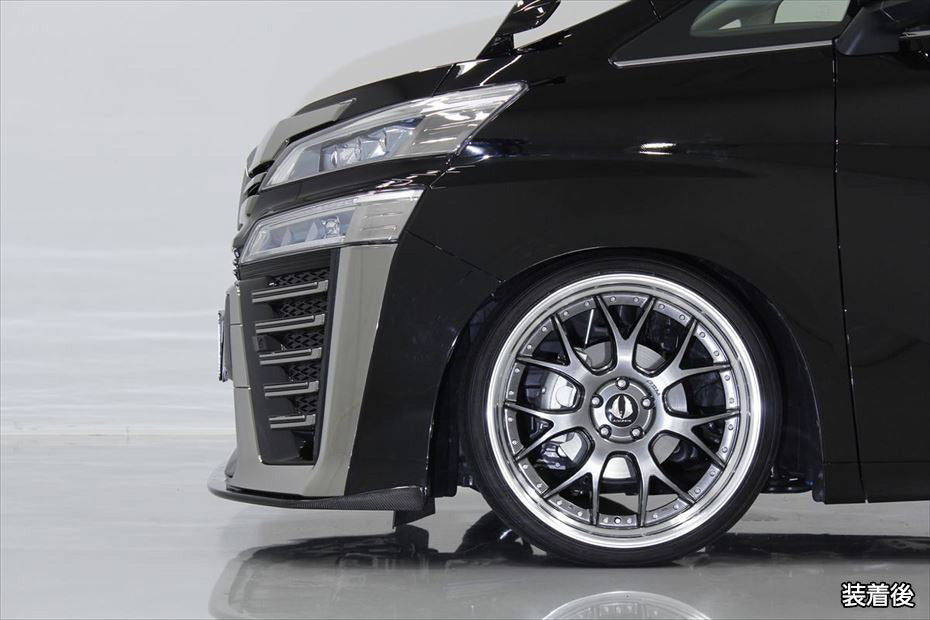 Toyota Vellfire AIMGAIN Pure VIP carbon - image 10