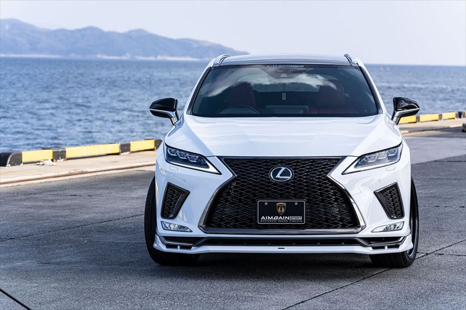 Lexus RX AIMGAIN Sport exhaust finisher - image 10