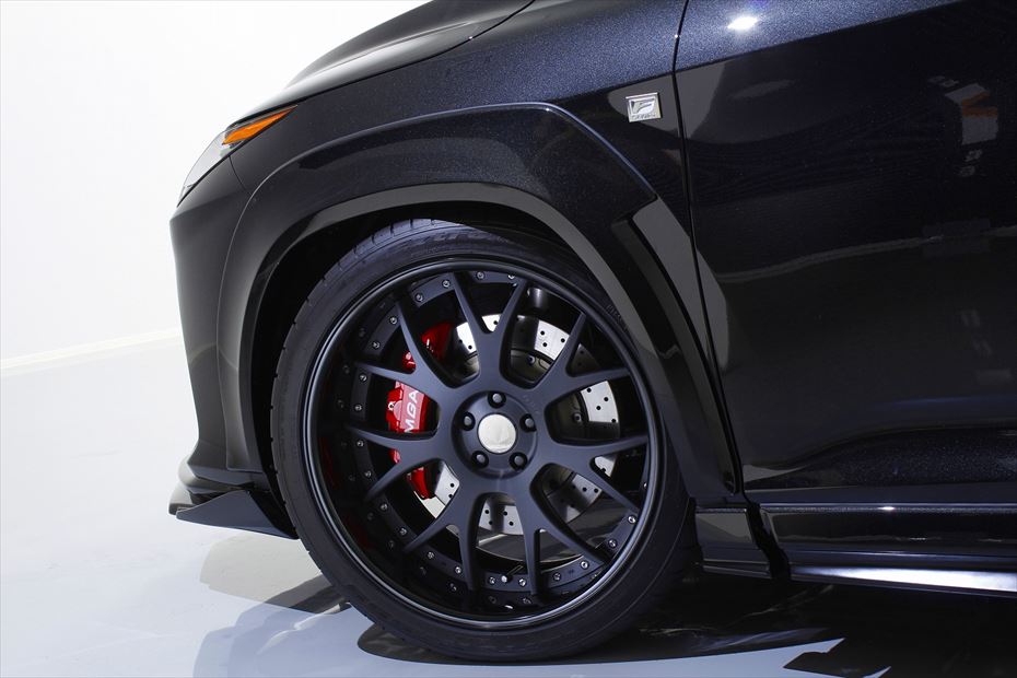 Lexus RX AIMGAIN VIP EXE rear over fenders - image 10