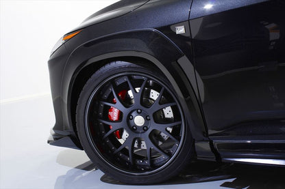 Lexus RX AIMGAIN VIP EXE rear over fenders - image 10
