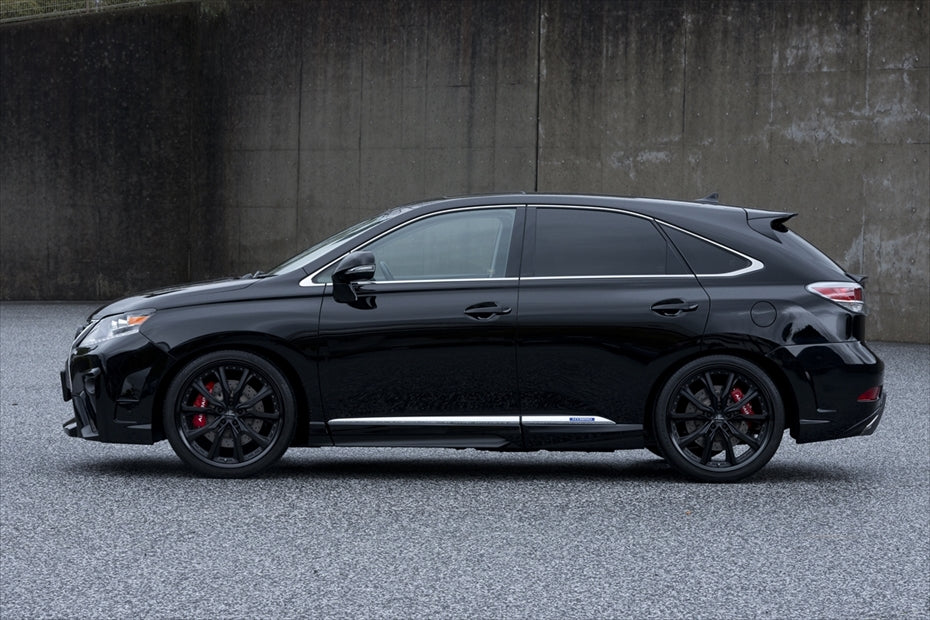 Lexus RX AIMGAIN Pure VIP rear bumper - image 11