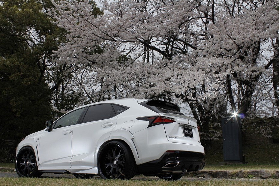 Lexus NX AIMGAIN VIP EXE over fender kit - image 13