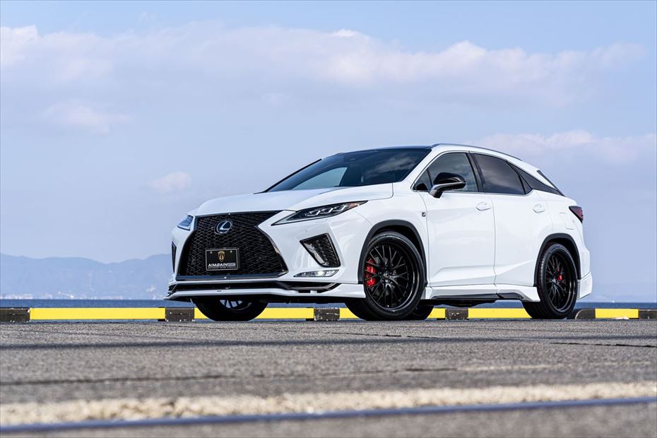 Lexus RX AIMGAIN Sport exhaust finisher - image 13