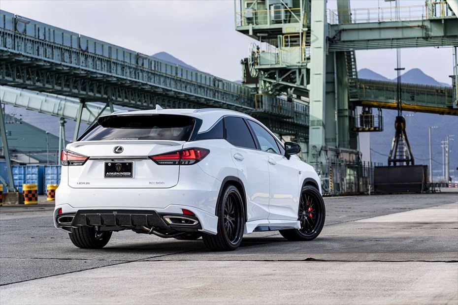 Lexus RX AIMGAIN Sport front over fenders - image 14