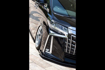 Toyota Alphard AIMGAIN Pure VIP full kit - image 14