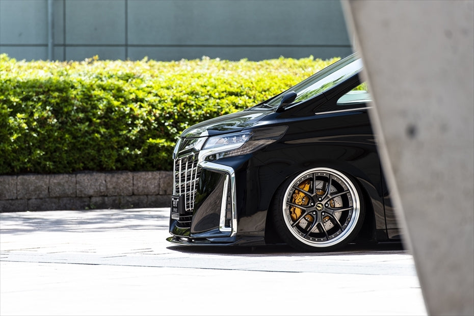 Toyota Alphard AIMGAIN Pure VIP rear wing - image 15