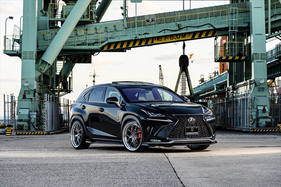 Lexus NX AIMGAIN GT Nx300 floor mat set