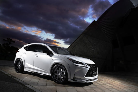 Lexus NX AIMGAIN VIP EXE over fender kit