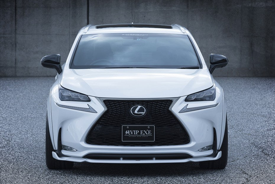 Lexus NX AIMGAIN VIP EXE floor mat set - image 3