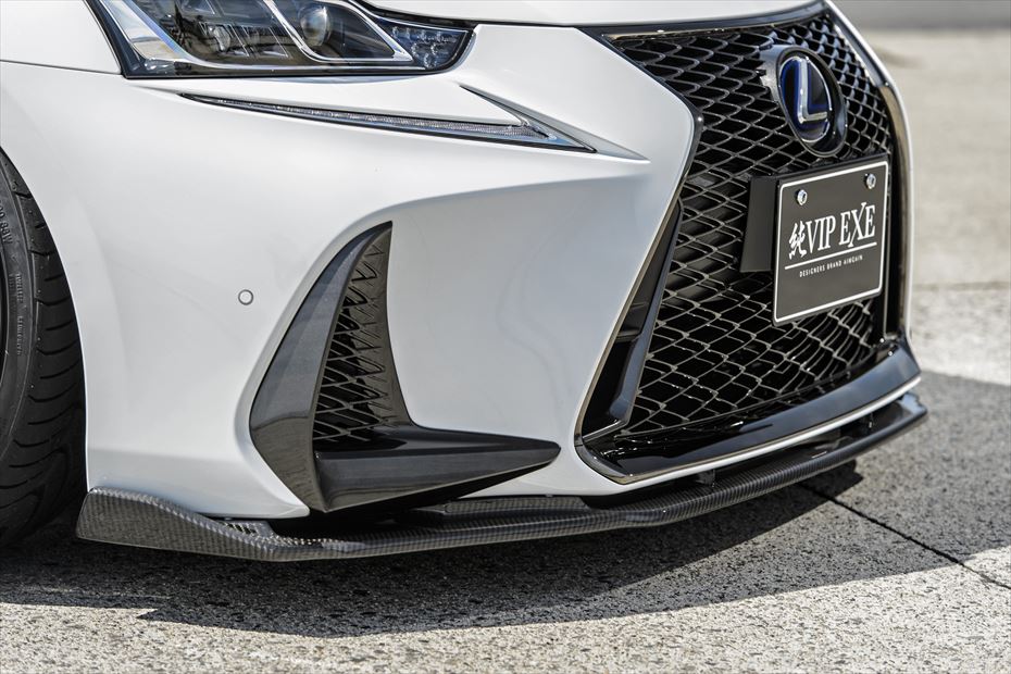 Lexus IS AIMGAIN Pure VIP brake caliper covers - image 3