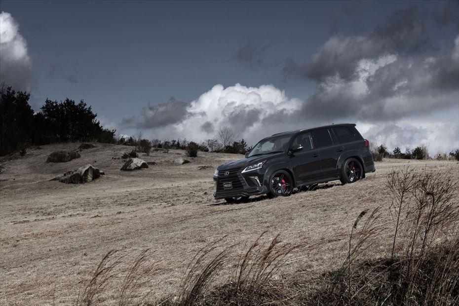 Lexus LX AIMGAIN VIP EXE brake system - image 3