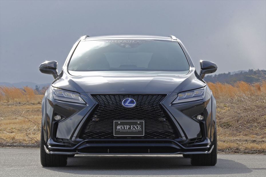 Lexus RX AIMGAIN VIP EXE exhaust - image 4