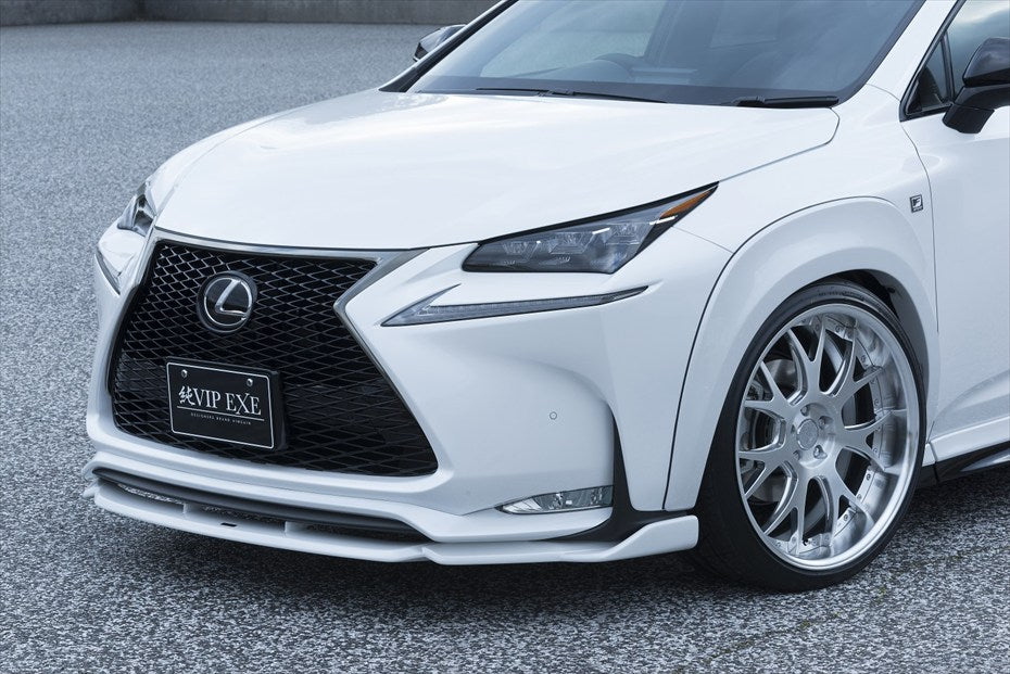 Lexus NX AIMGAIN VIP EXE boot mat - image 4