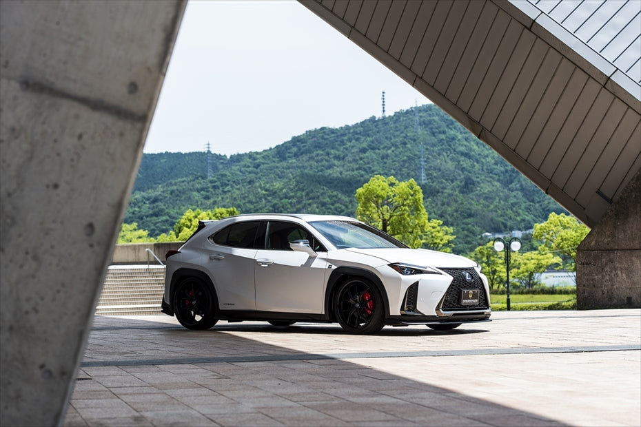 Lexus UX AIMGAIN Sport roof spoiler - image 6