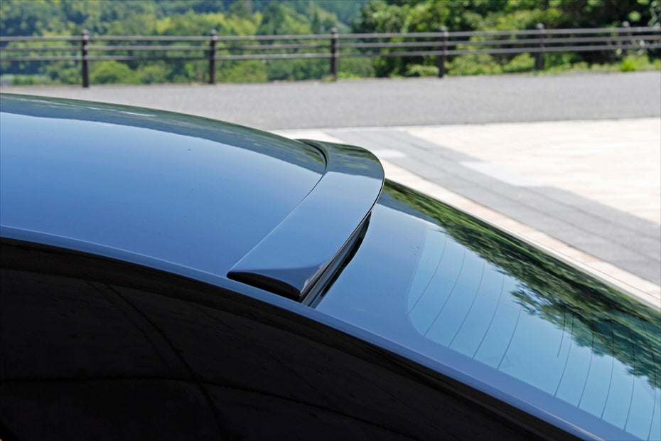 Chrysler C300 AIMGAIN VIP EXE rear half spoiler - image 7