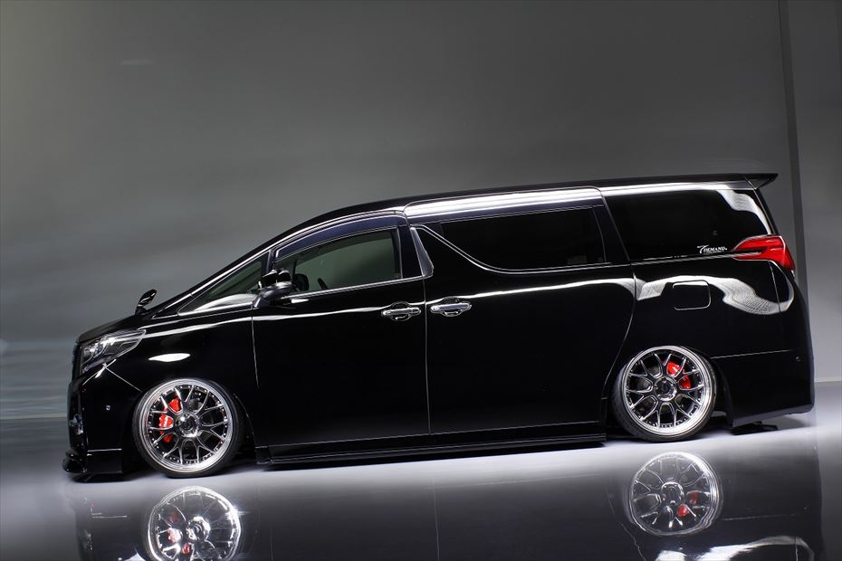 Toyota Alphard AIMGAIN Pure VIP front half spoiler - image 8