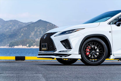 Lexus RX AIMGAIN Sport full kit - image 8