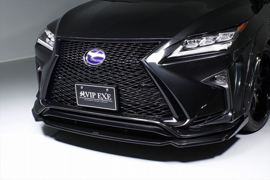 Lexus RX AIMGAIN VIP EXE front over fenders - image 8