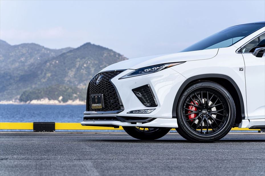 Lexus RX AIMGAIN Sport front over fenders - image 8