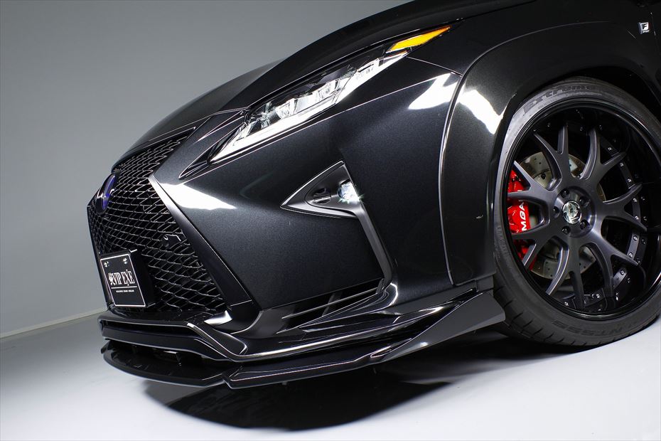 Lexus RX AIMGAIN VIP EXE front over fenders - image 9