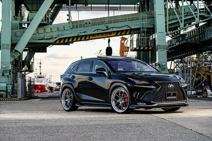 AIMGAIN Lexus NX 300 (F Sport) (2018-2021)Sport full kit - Detail View 14